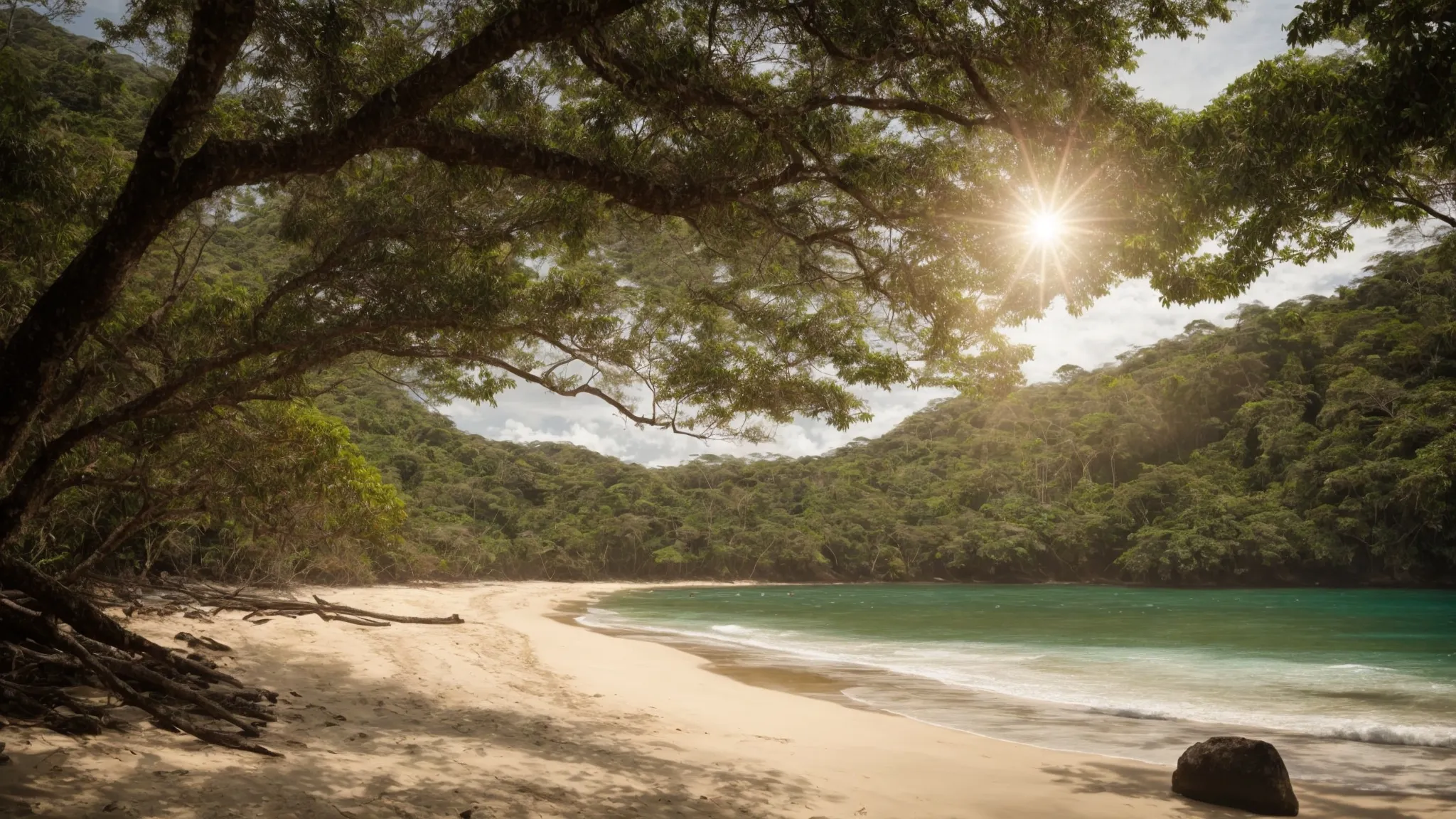 a panoramic view of a pristine honduran beach bordering a dense tropical forest glistening under the sun, symbolizing the country's eco-tourism potential.