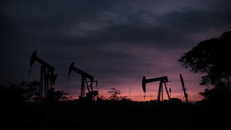 oil derricks silhouetted against a dusky sky beside a lush amazonian forest.