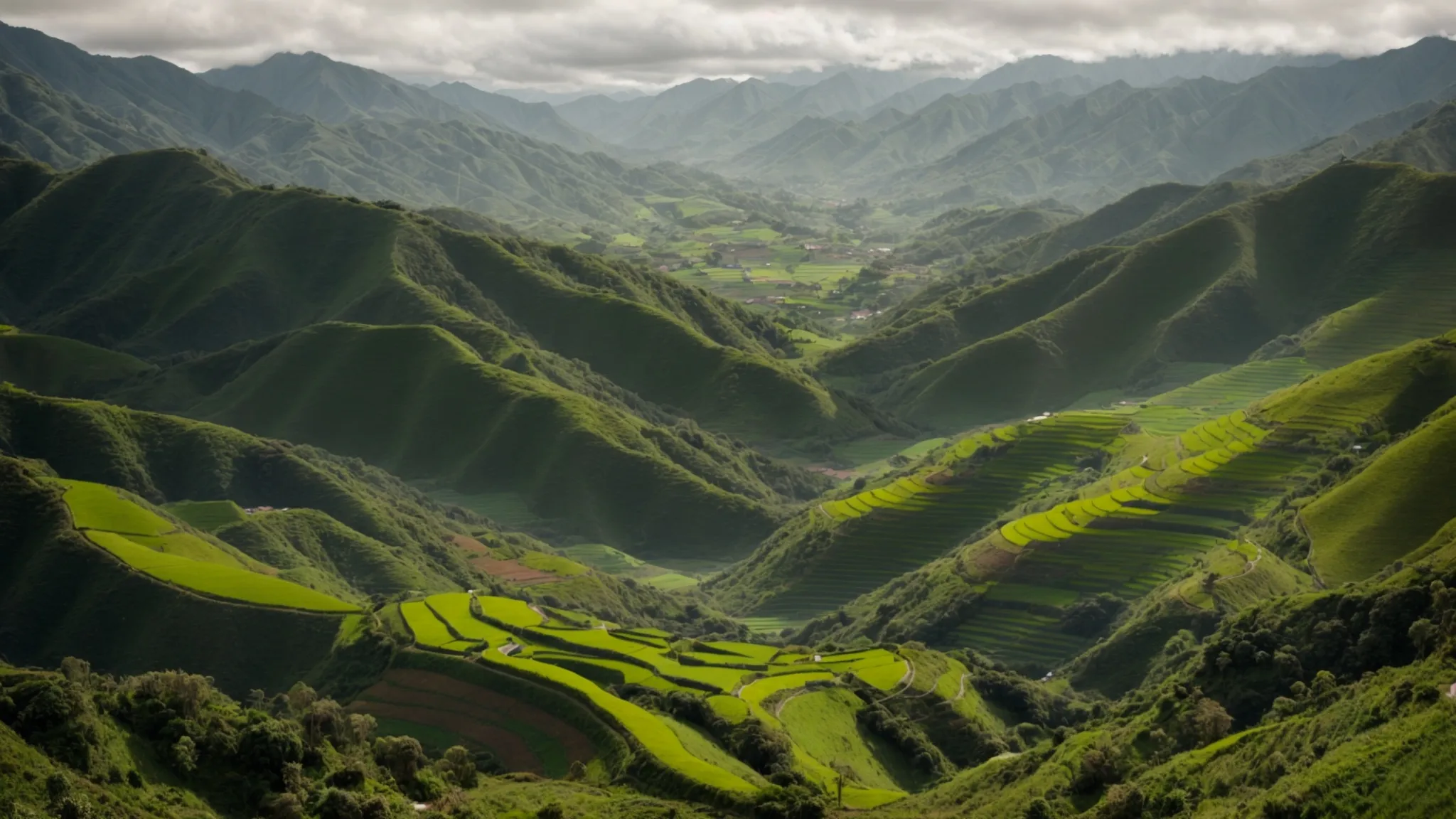 Lush, sprawling farmland with terraced fields and rolling hills in Ecuador, emphasizing sustainable agriculture in the context of foreign direct investment and biodiversity protection.